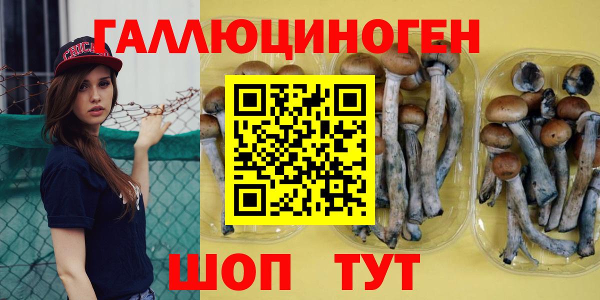 Галлюциногенные грибы GOLDEN TEACHER Алексеевка